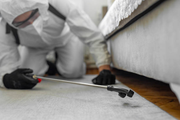 Professional Mosquito Control technician working in Martinsville city County, VA